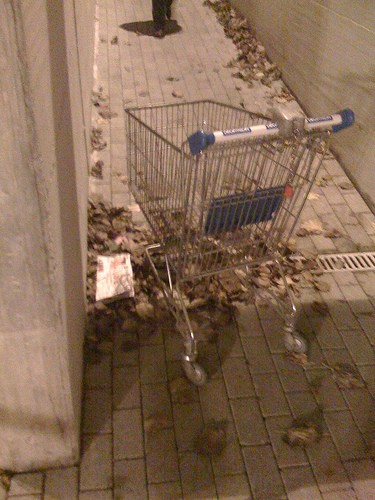 carrello abbandonato